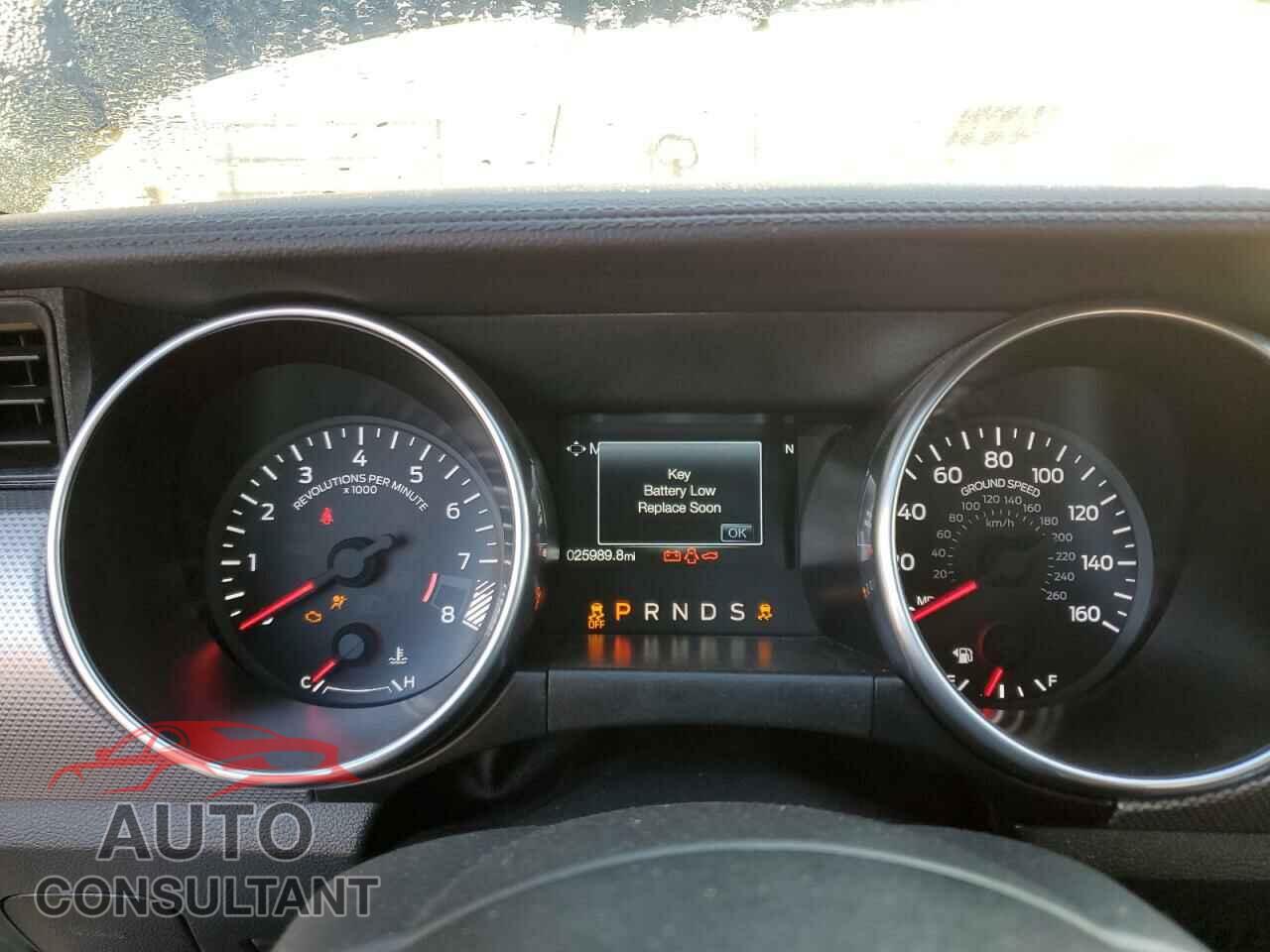 FORD MUSTANG 2019 - 1FA6P8CF5K5147995