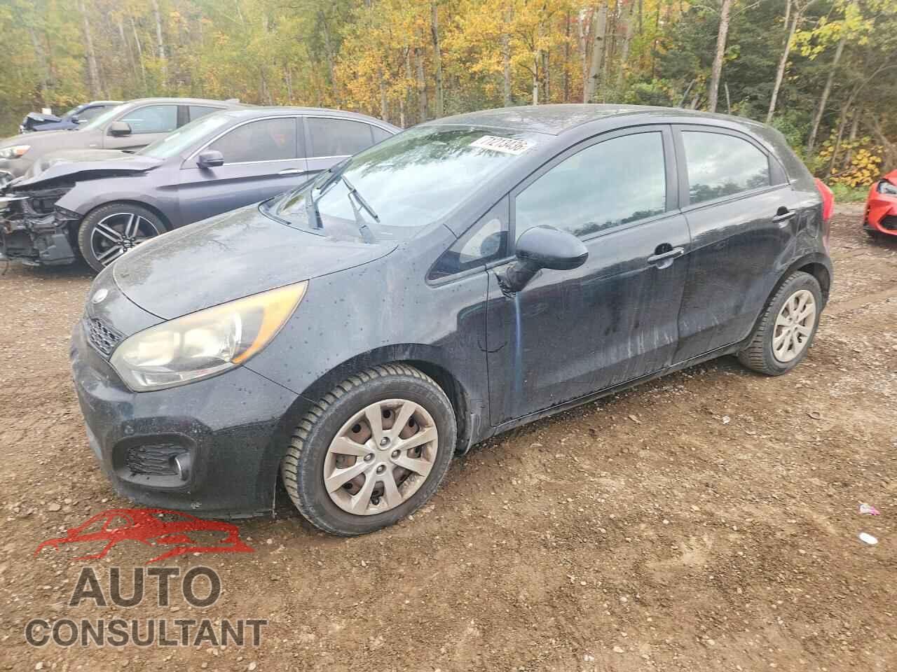KIA RIO 2013 - KNADM5A35D6831537