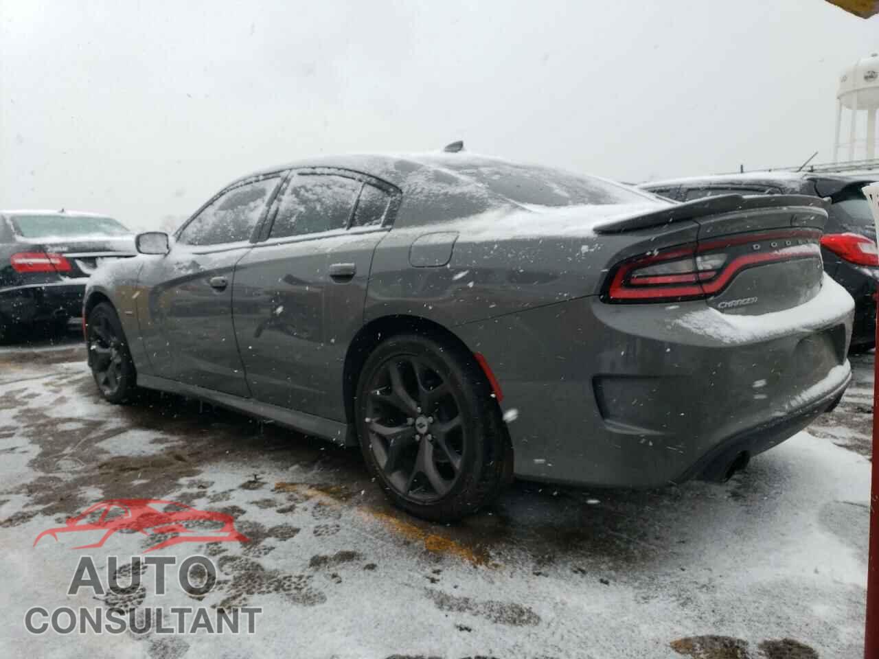 DODGE CHARGER 2019 - 2C3CDXCTXKH722126