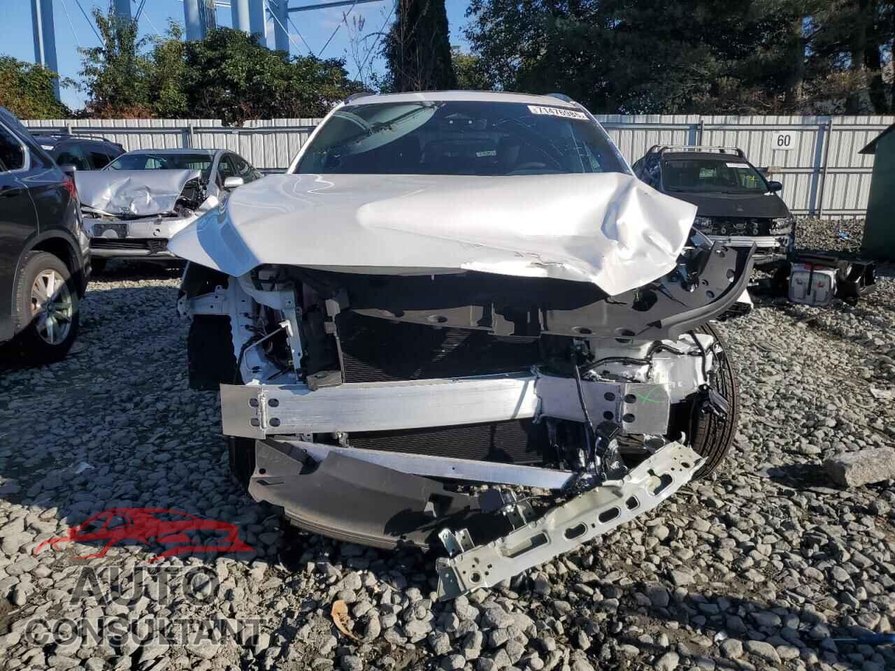 LEXUS RX350 2025 - 2T2BAMCA9SC101284