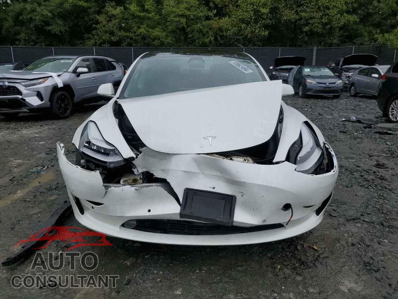 TESLA MODEL 3 2020 - 5YJ3E1EB9LF618132