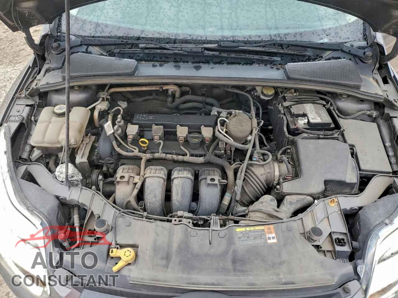 FORD FOCUS 2012 - 1FAHP3F21CL465906