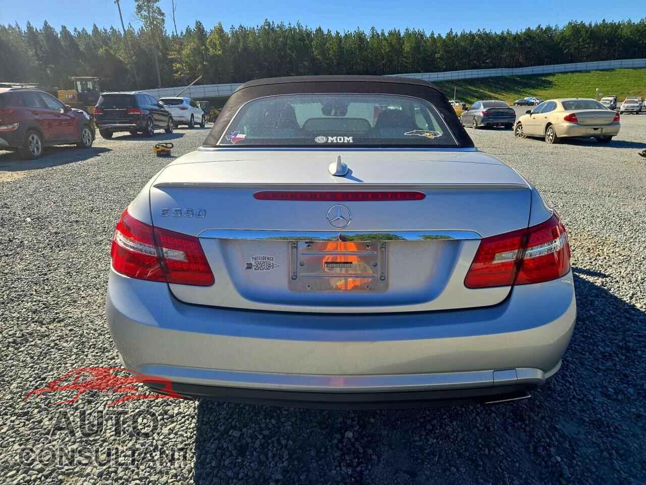 MERCEDES-BENZ E-CLASS 2012 - WDDKK7DF6CF152544