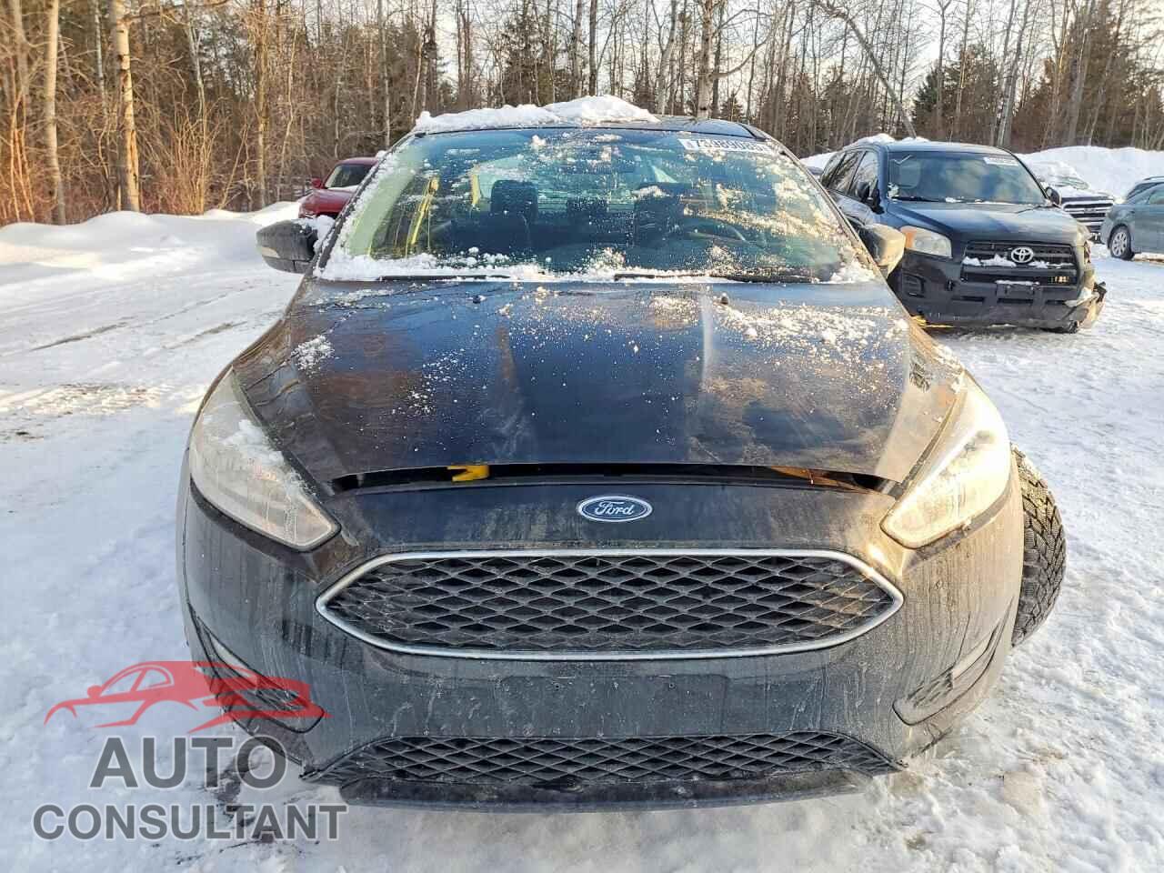 FORD FOCUS 2016 - 1FADP3F23GL342368