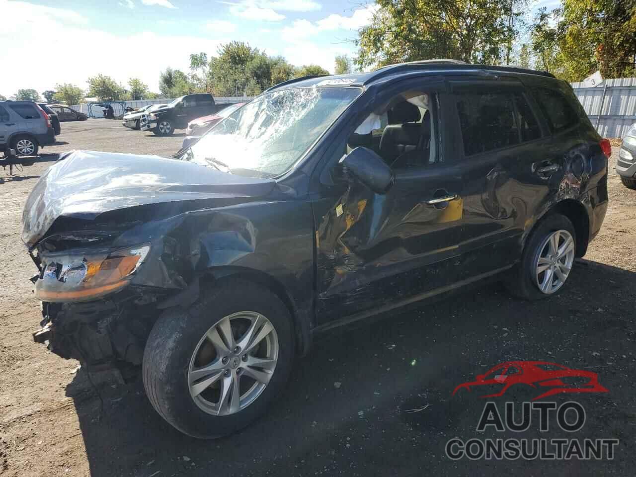 HYUNDAI SANTA FE 2010 - 5NMSHDAG2AH415827
