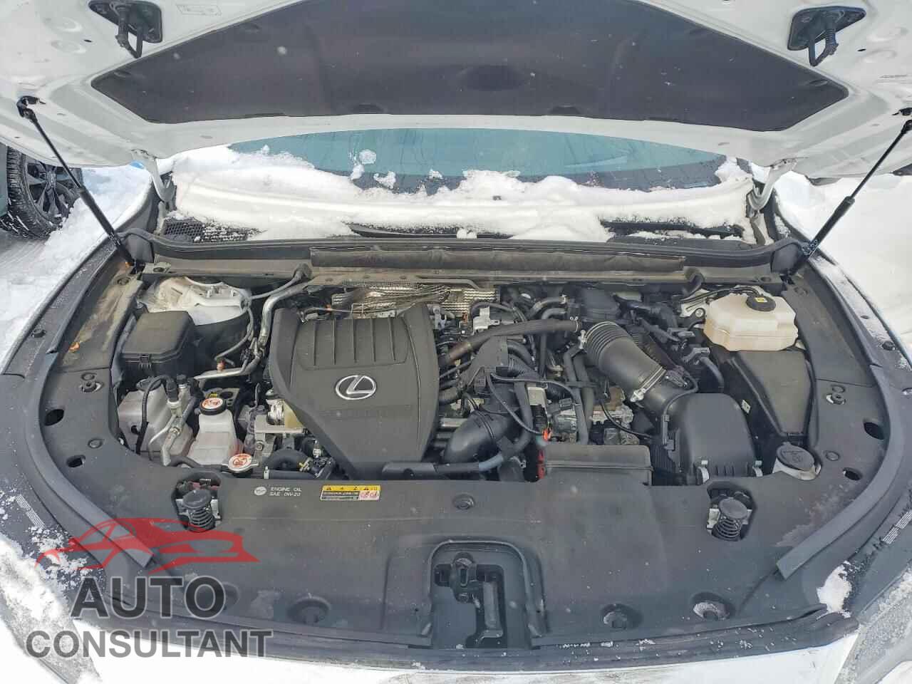 LEXUS RX 500H F 2023 - 2T2BCMEA9PC010496