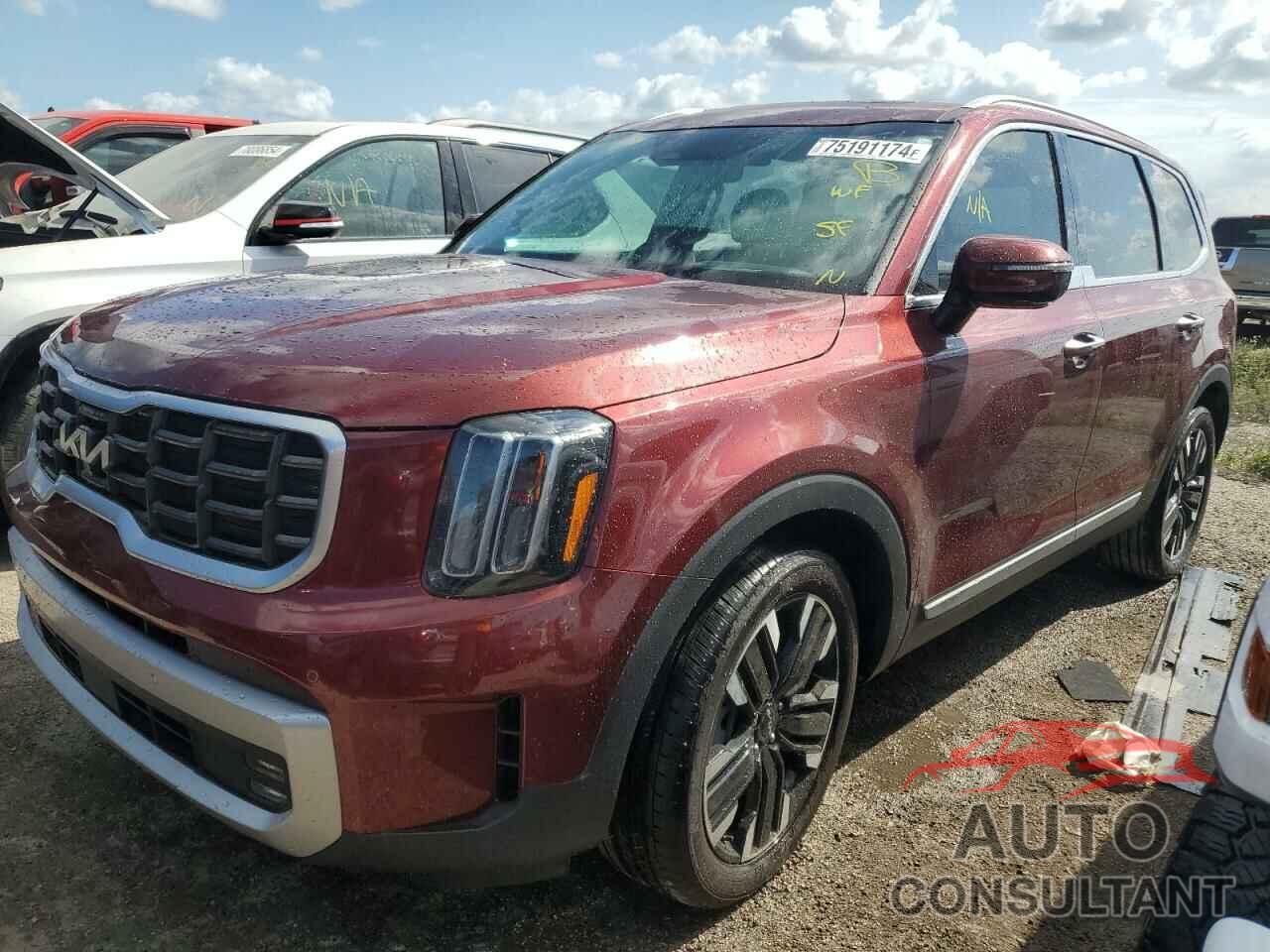 KIA TELLURIDE 2023 - 5XYP5DGC2PG334817