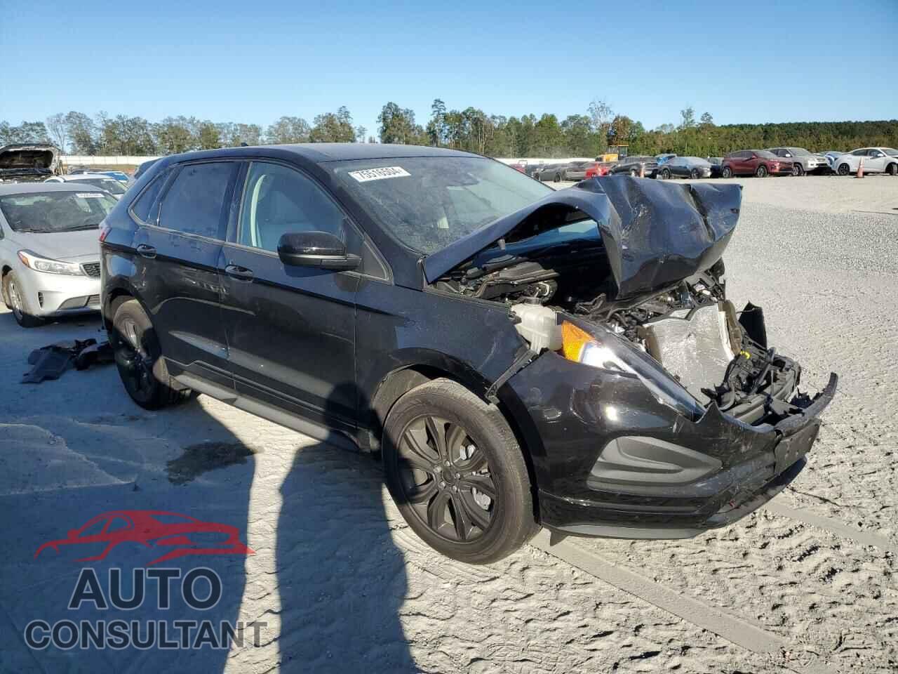 FORD EDGE 2024 - 2FMPK4G92RBB08535