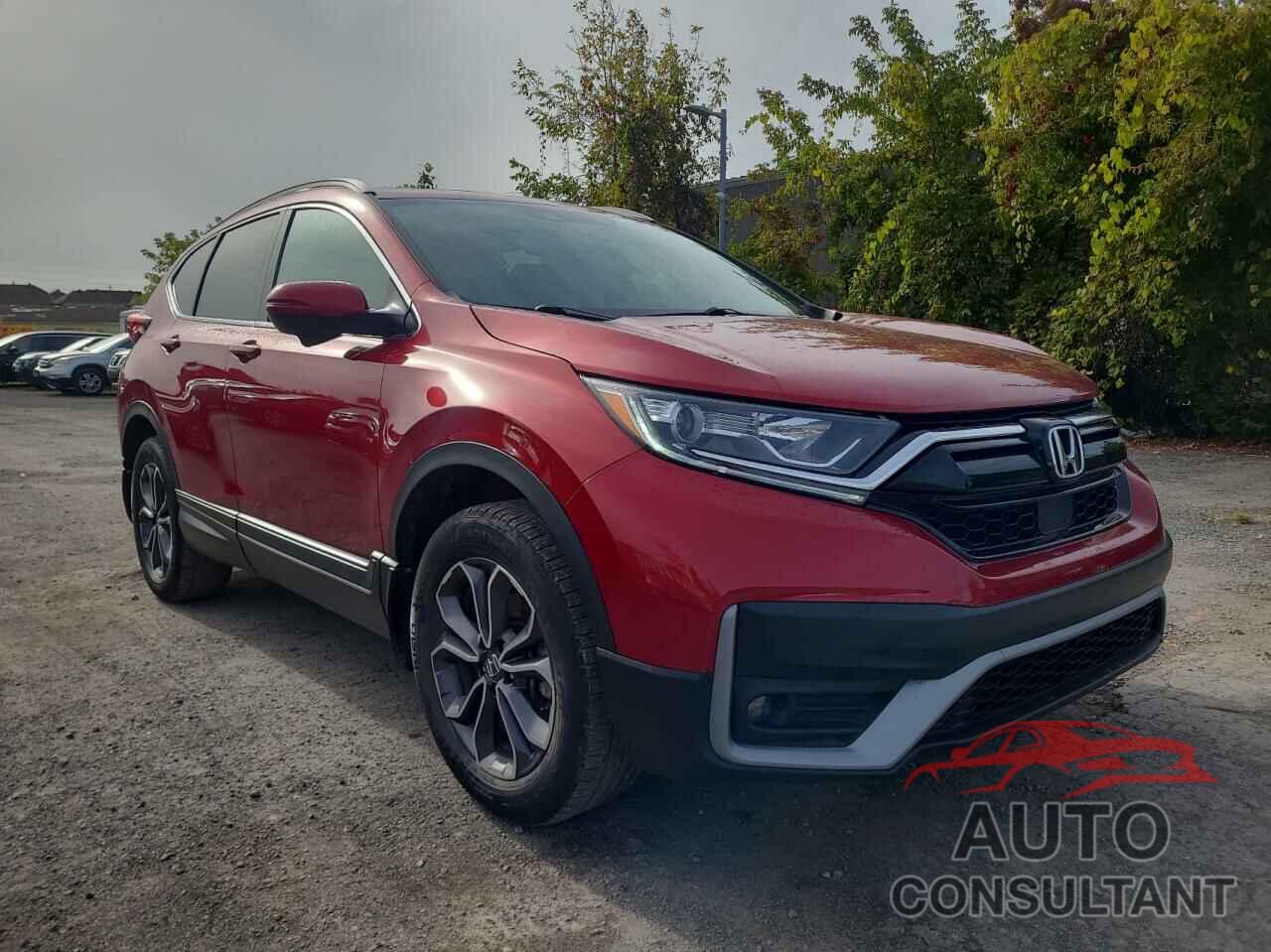 HONDA CRV 2020 - 2HKRW2H87LH228175