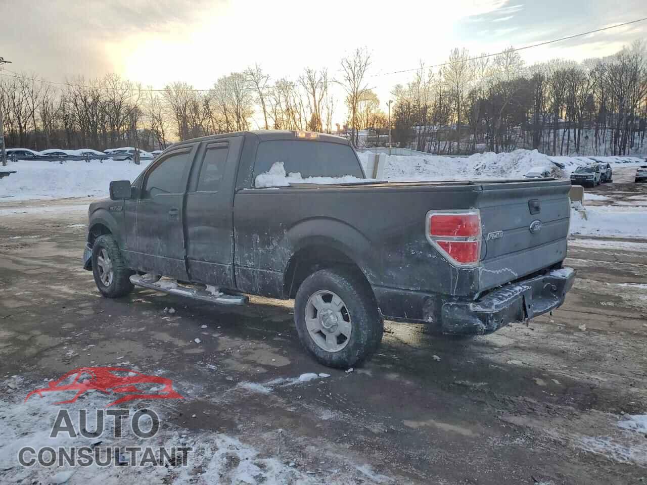FORD F-150 2010 - 1FTFX1CVXAFC33126