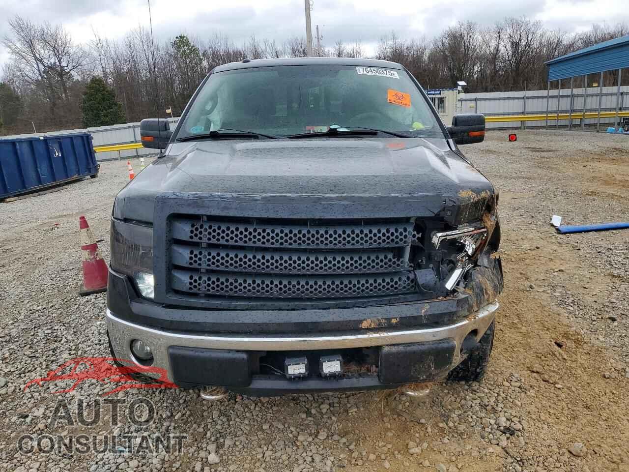 FORD F-150 2013 - 1FTFX1EF7DFD65481