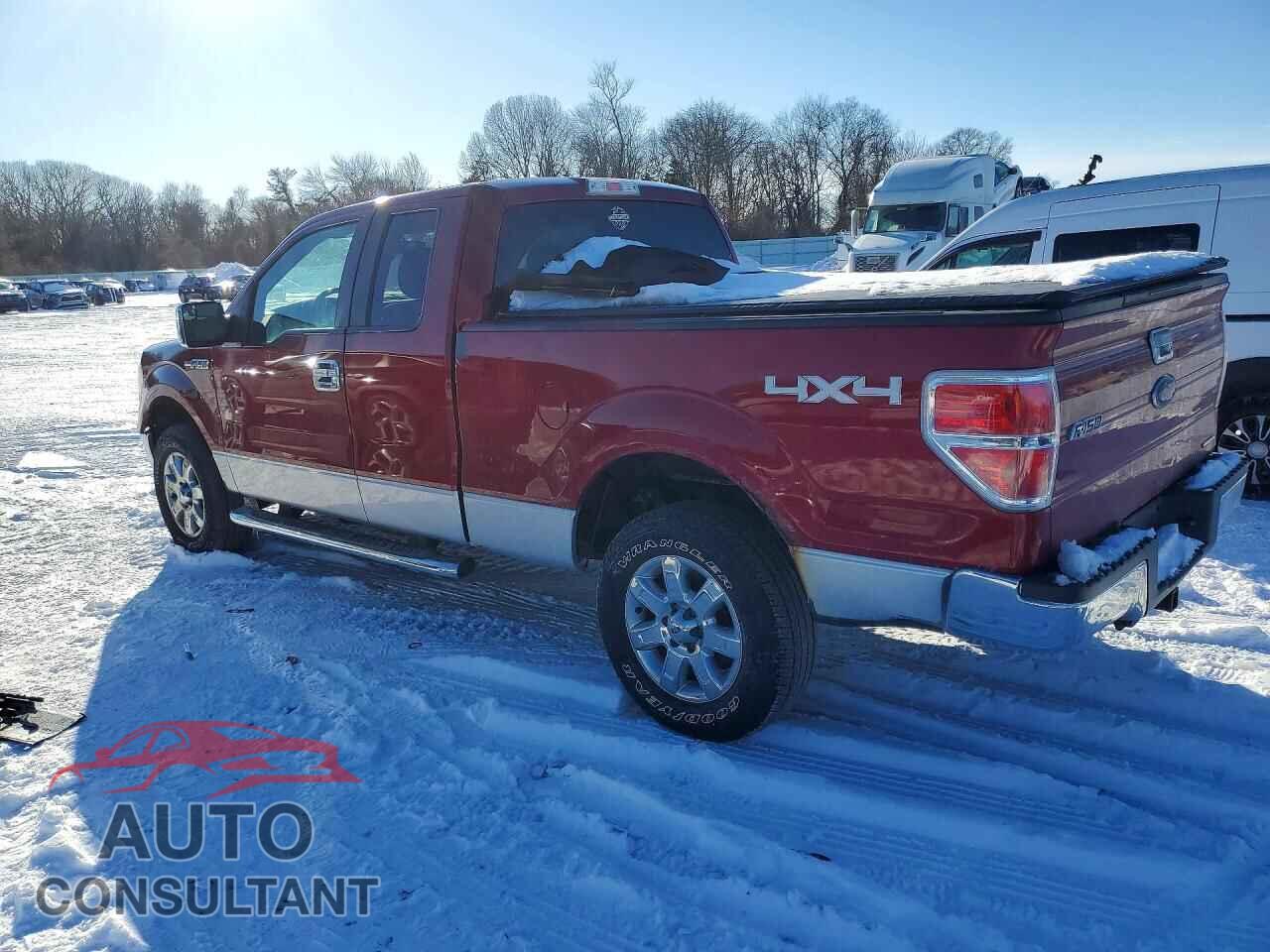 FORD F-150 2013 - 1FTFX1EF3DFD31859