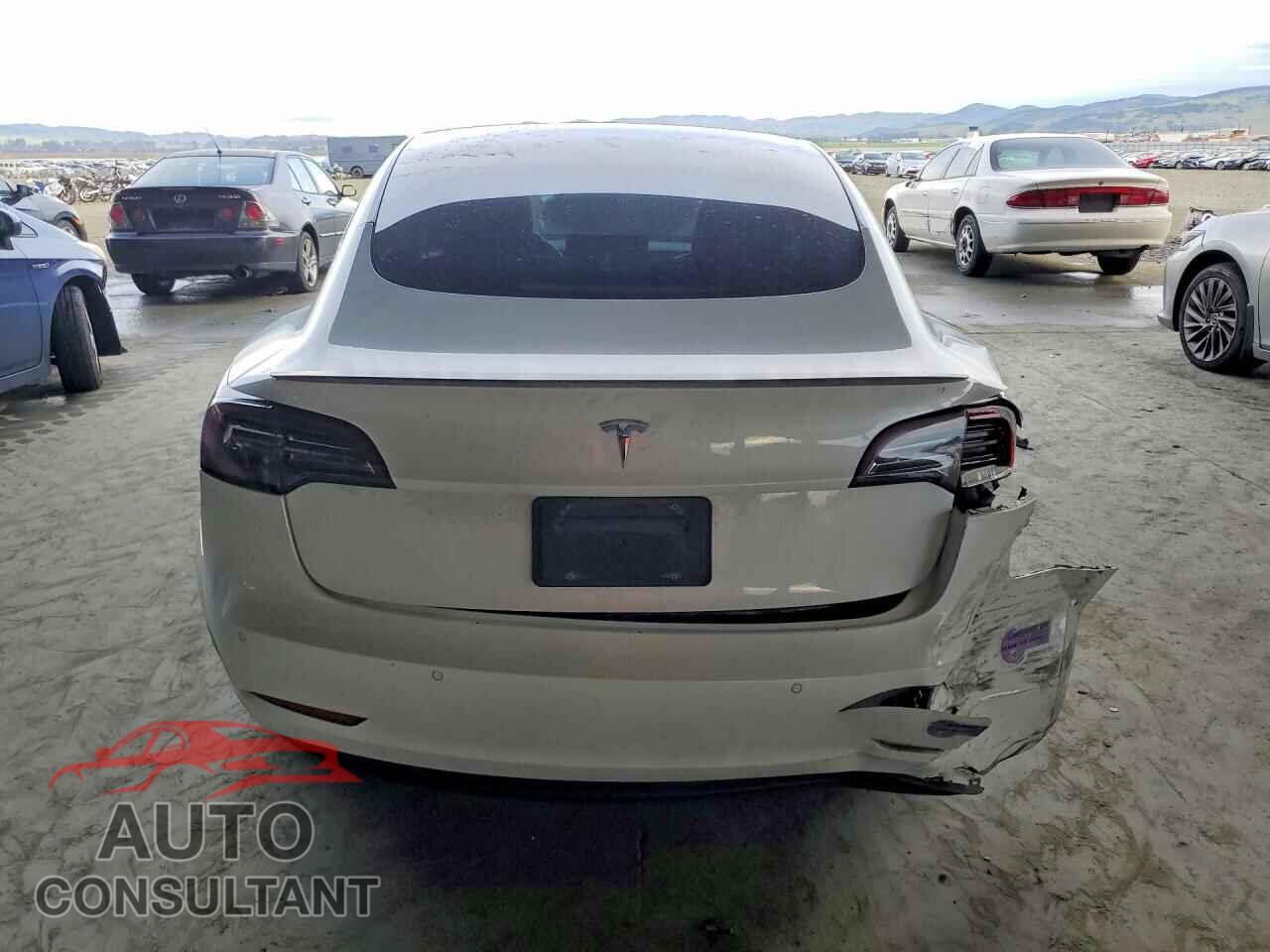 TESLA MODEL 3 2019 - 5YJ3E1EA4KF337507
