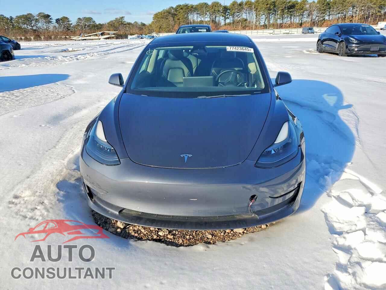 TESLA MODEL 3 2022 - 5YJ3E1EA8NF202146
