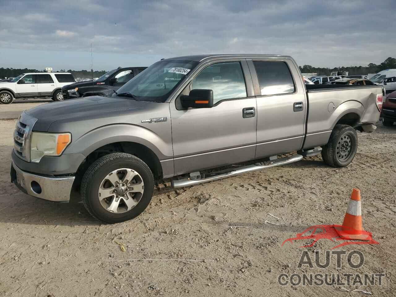 FORD F-150 2009 - 1FTRW12859FA57867