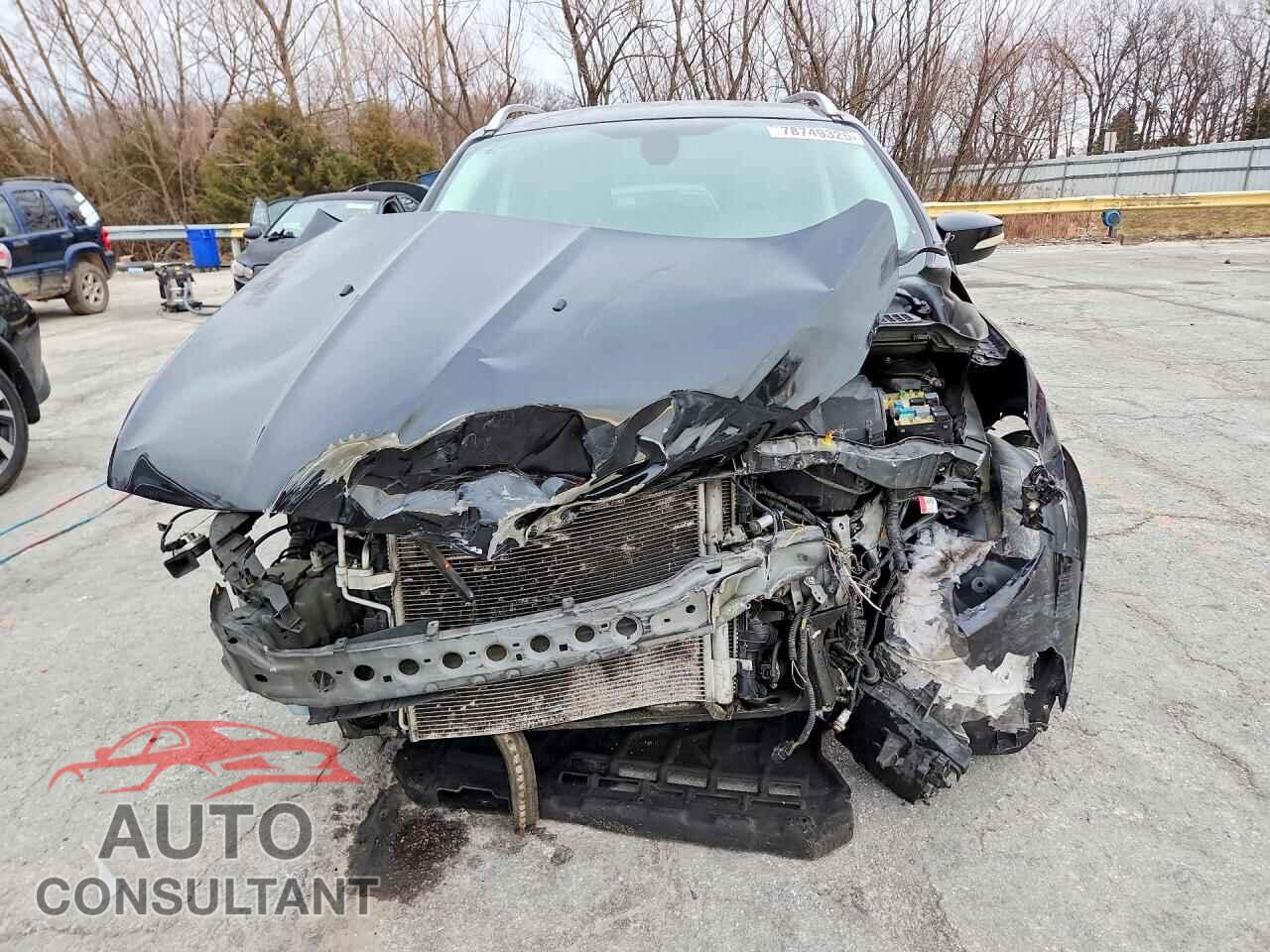 FORD ESCAPE 2014 - 1FMCU0JX4EUD80212