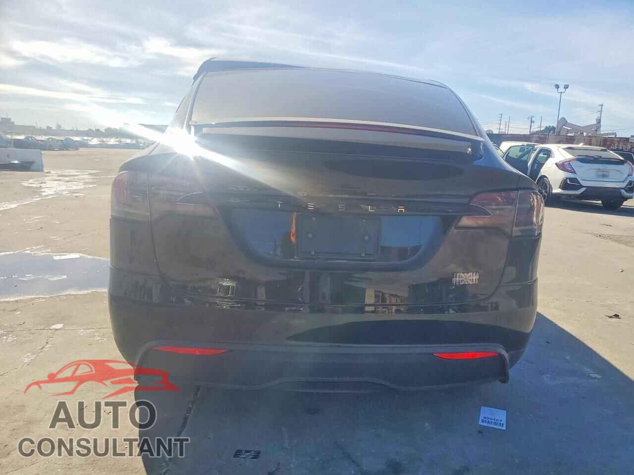 TESLA MODEL X 2024 - 7SAXCBE69RF437446