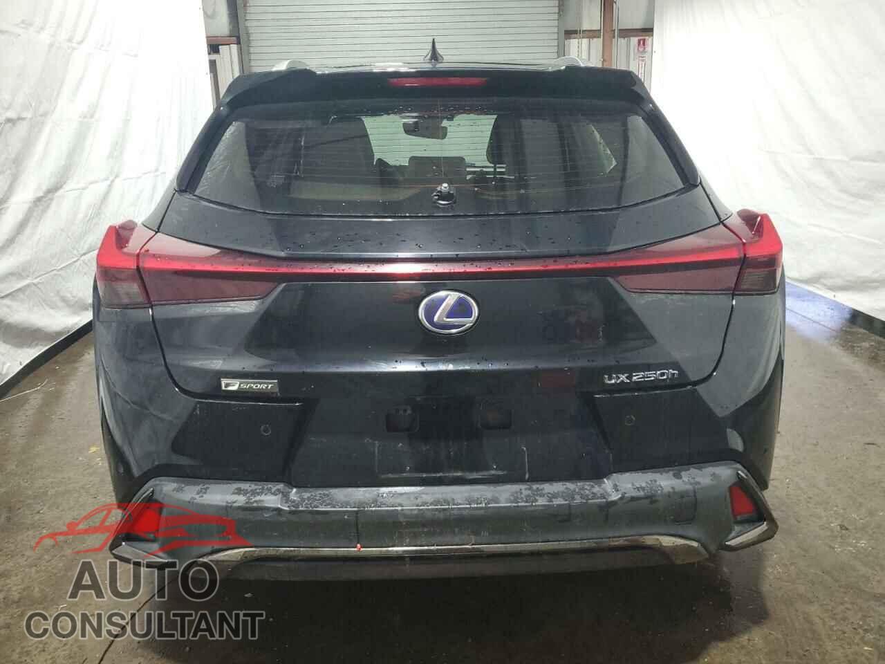LEXUS UX 250H 2019 - JTHU9JBH1K2003995