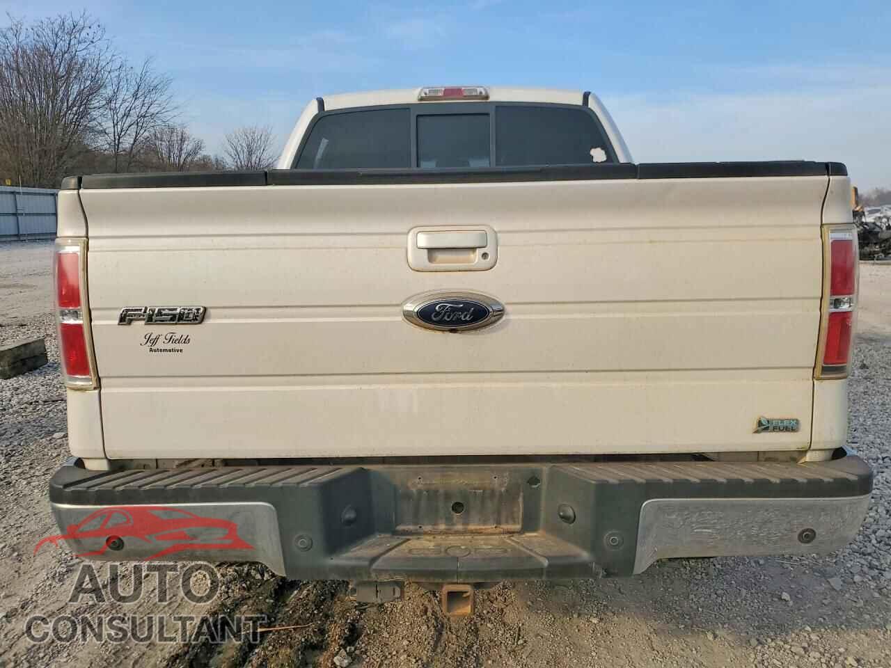 FORD F150 2010 - 1FTFW1EV7AFB43061