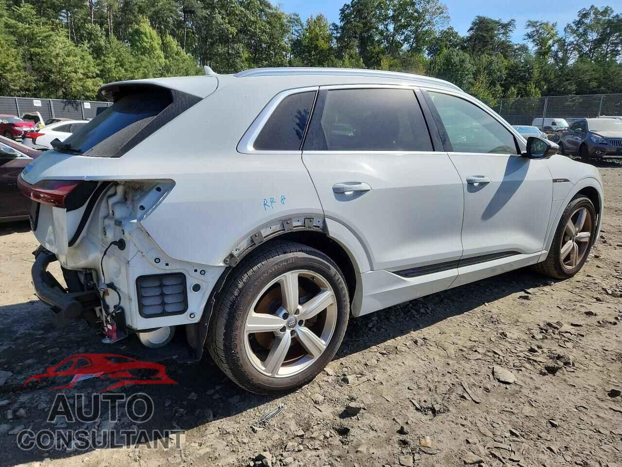 AUDI E-TRON 2019 - WA1LABGE6KB011996