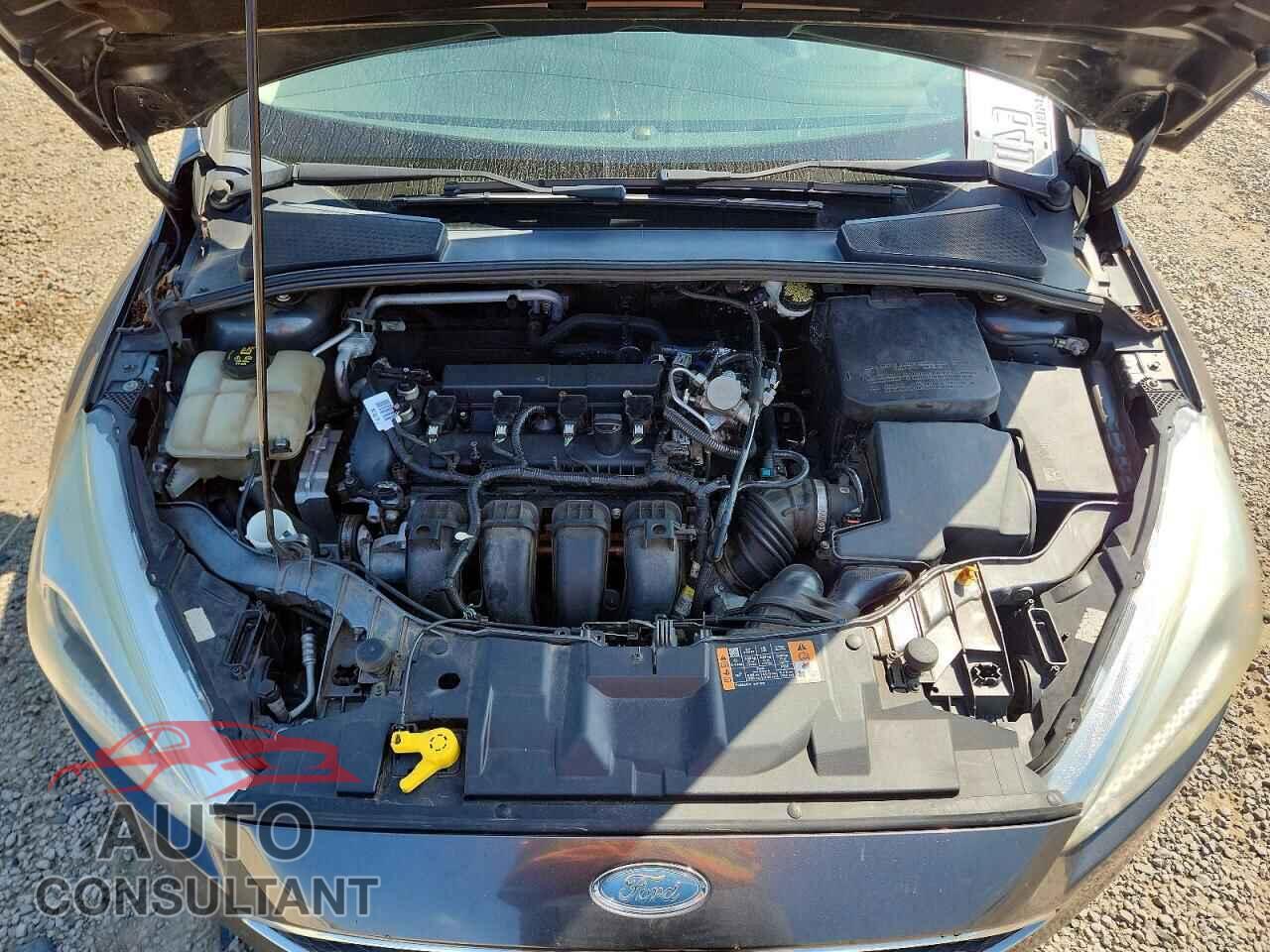 FORD FOCUS 2016 - 1FADP3E26GL356959