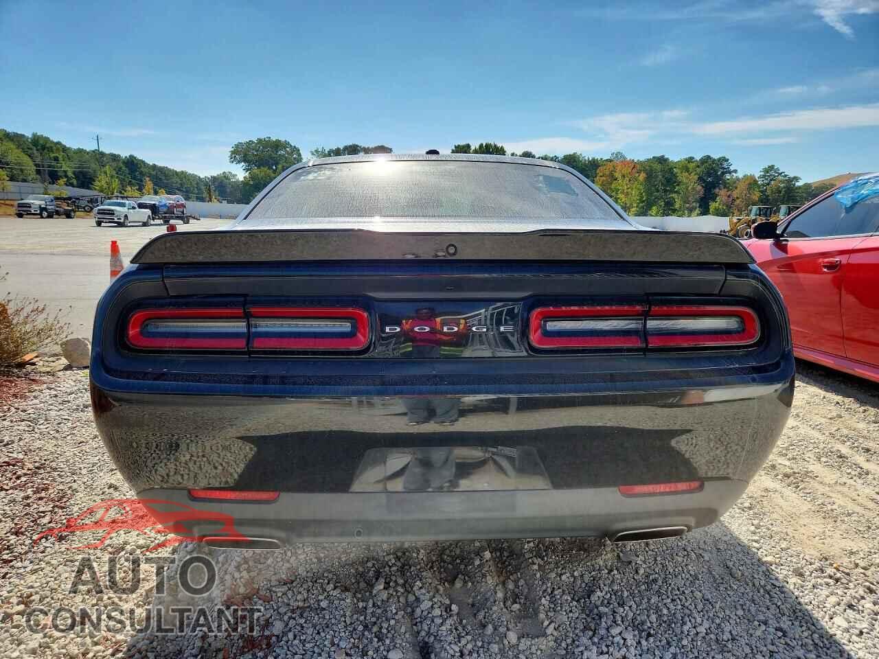 DODGE CHALLENGER 2019 - 2C3CDZAG8KH687734