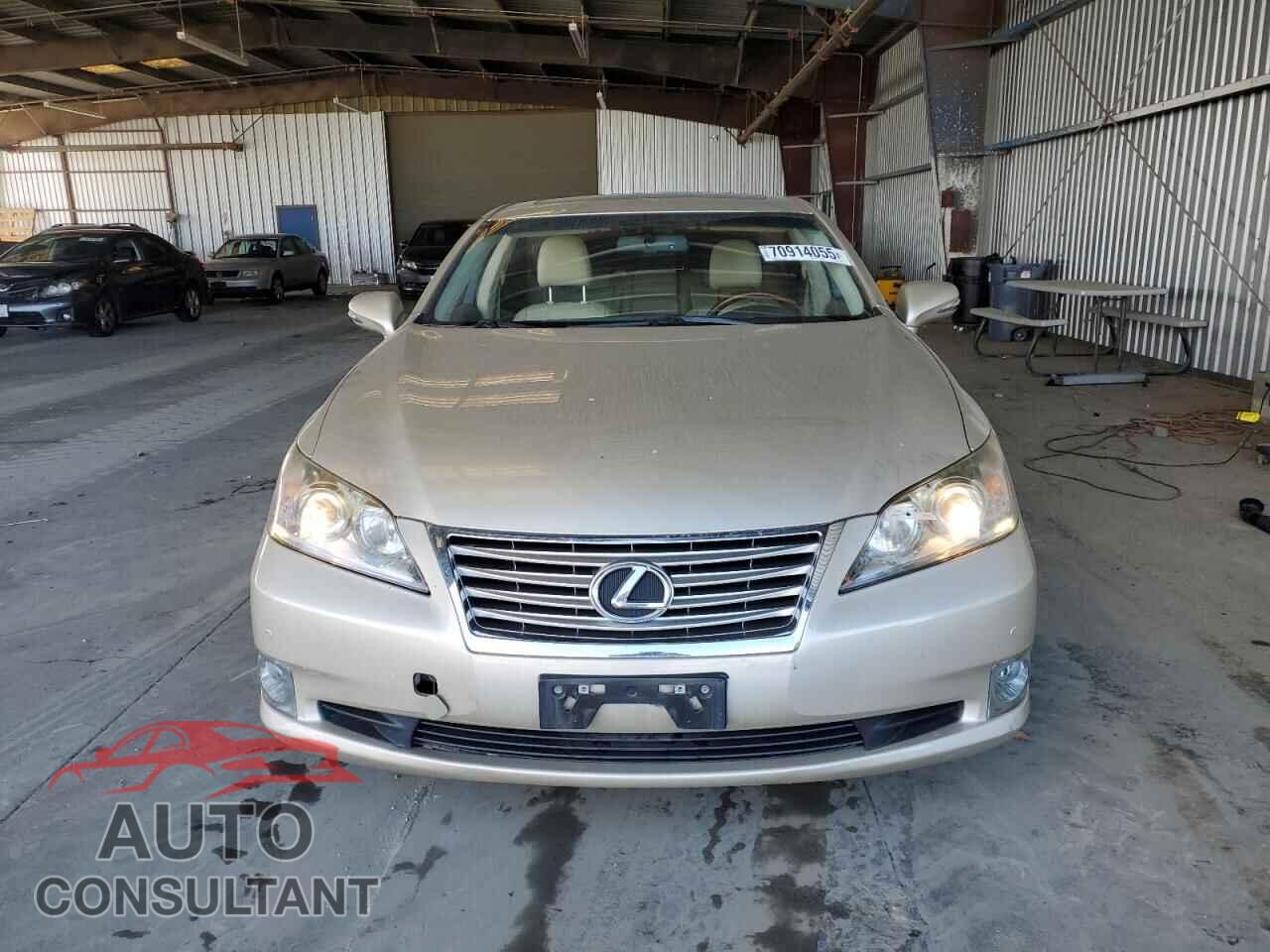 LEXUS ES350 2011 - JTHBK1EG0B2444872