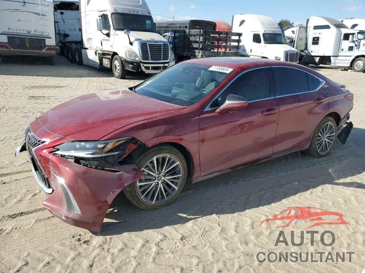 LEXUS ES300 2024 - 58ADA1C19RU039754