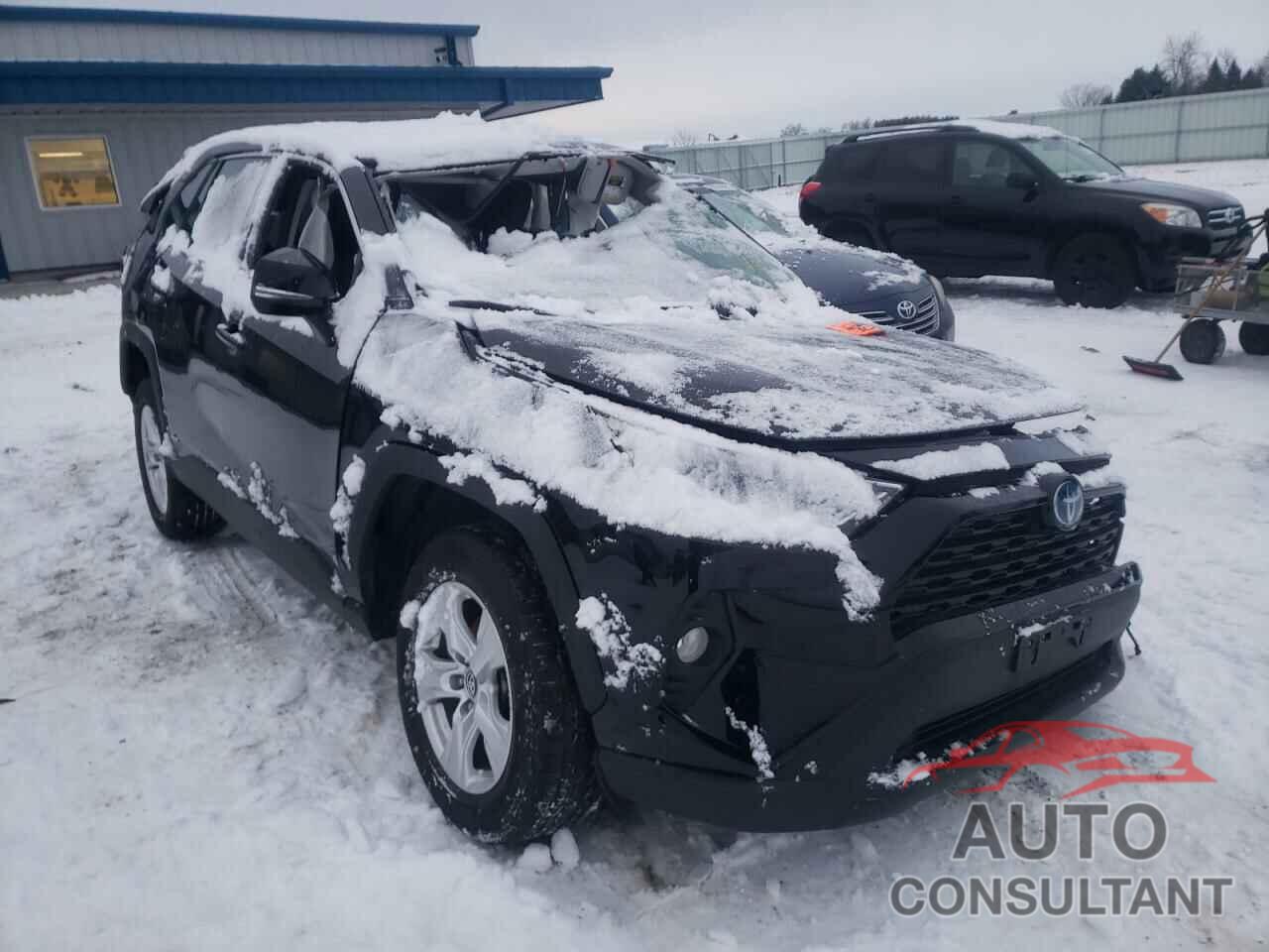 TOYOTA RAV4 2019 - 2T3RWRFV2KW029995