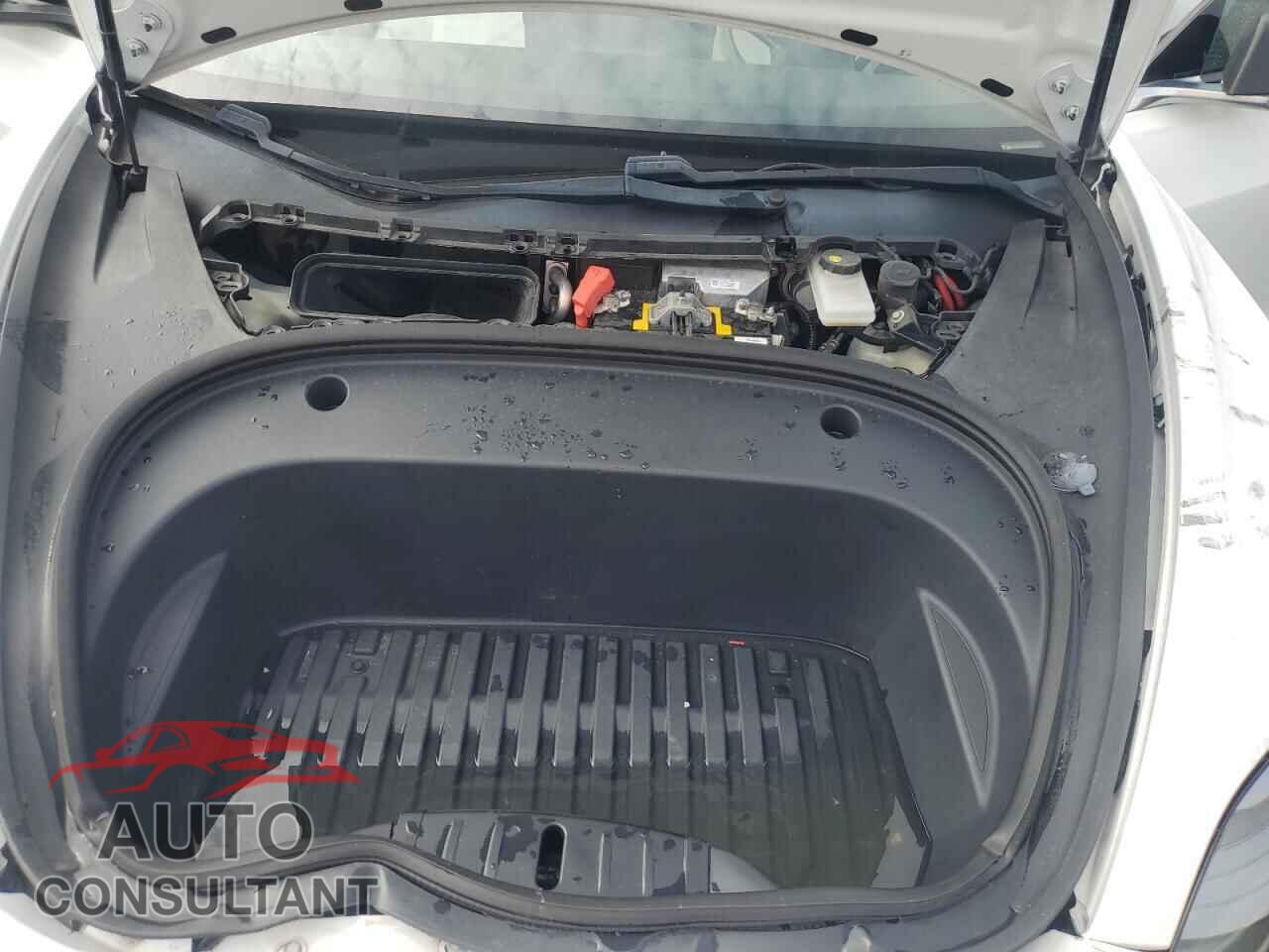 TESLA MODEL 3 2019 - 5YJ3E1EA0KF486660