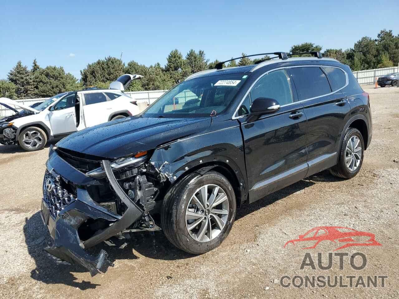 HYUNDAI SANTA FE 2020 - 5NMS5CAD6LH207610