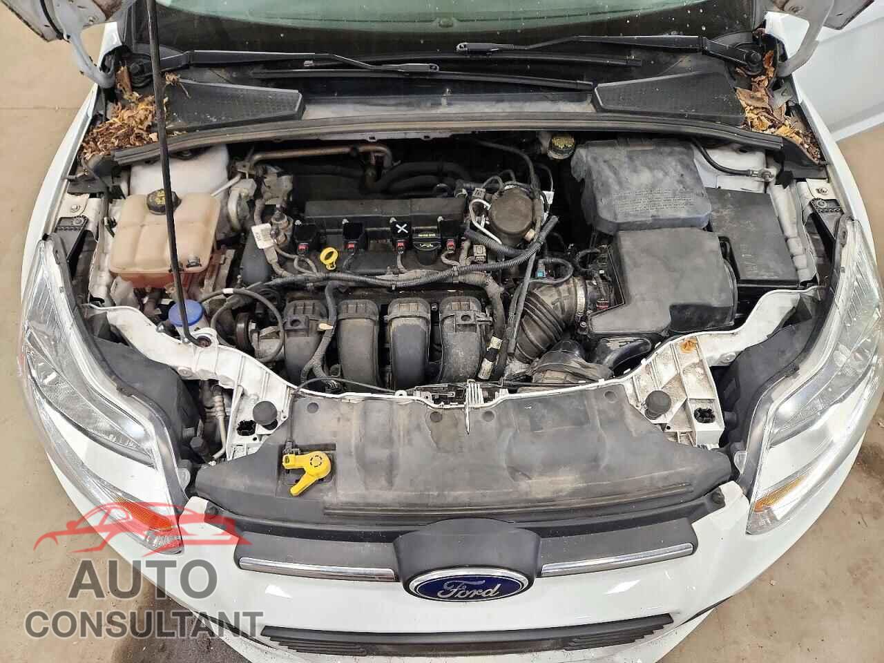 FORD FOCUS 2014 - 1FADP3F29EL299989