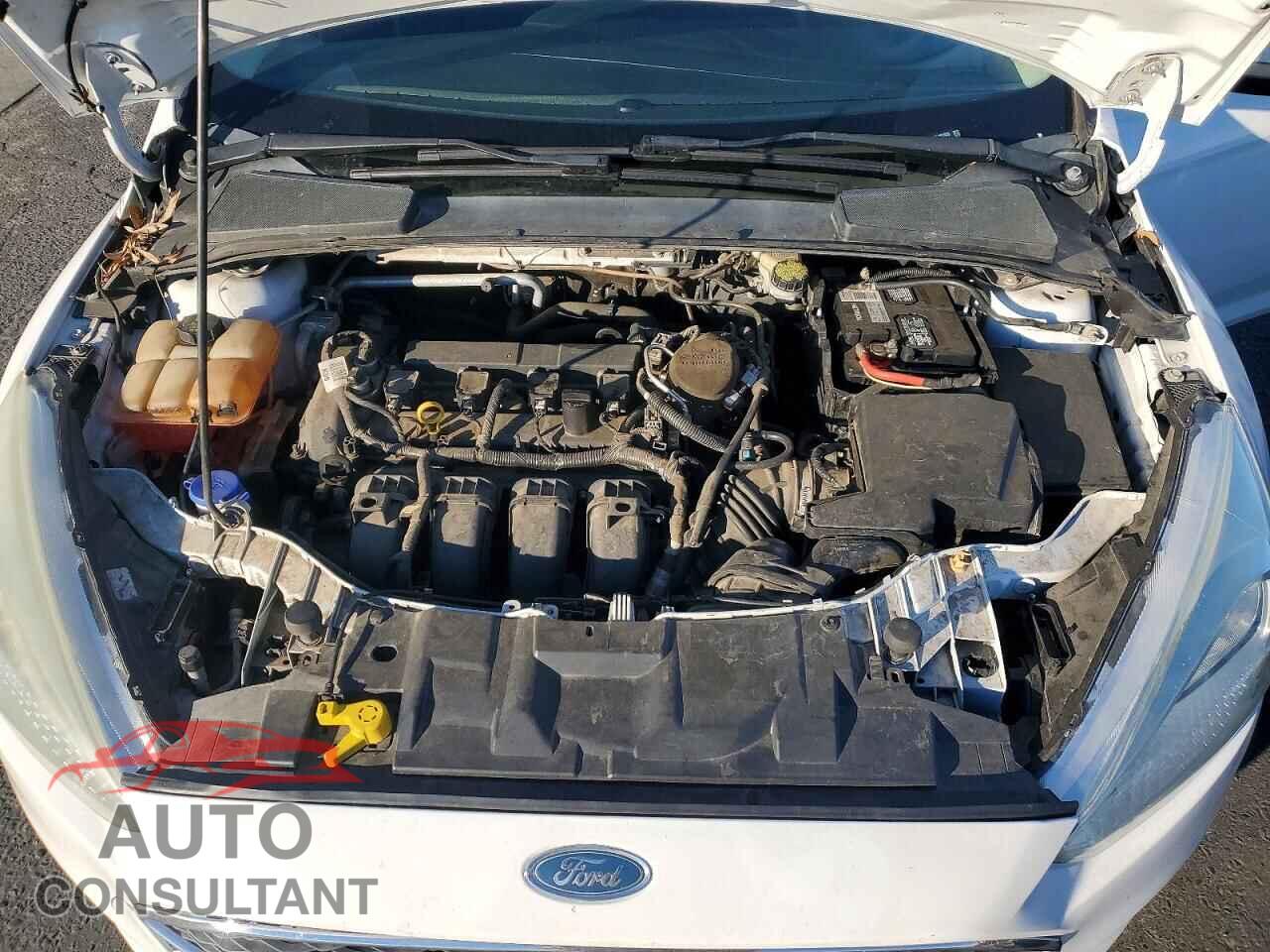 FORD FOCUS 2016 - 1FADP3F21GL253835
