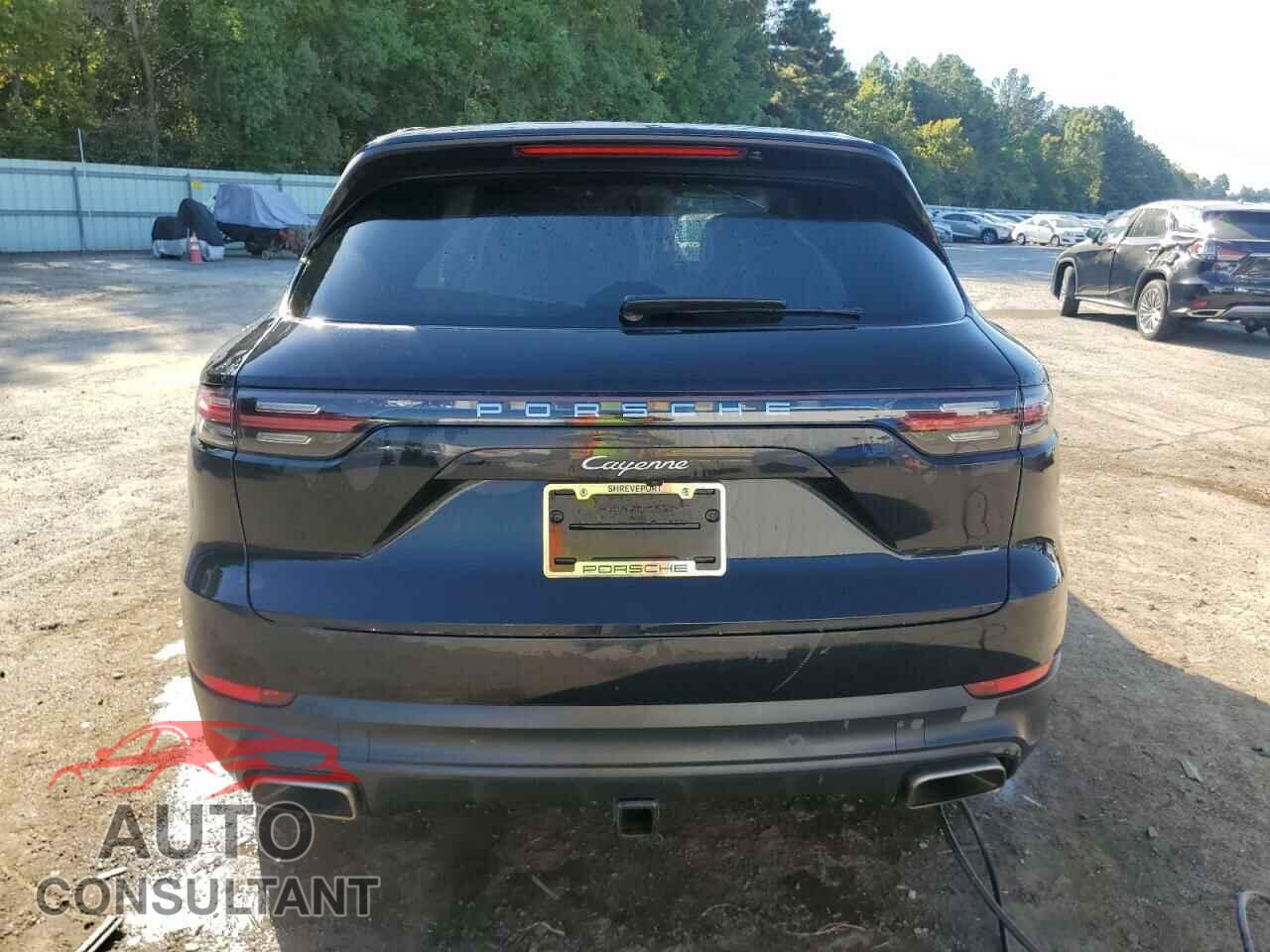 PORSCHE CAYENNE 2020 - WP1AA2AY3LDA07697