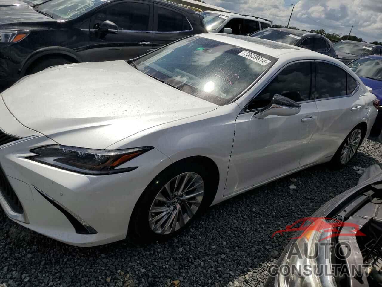 LEXUS ES300 2019 - JTHB21B11K2043816