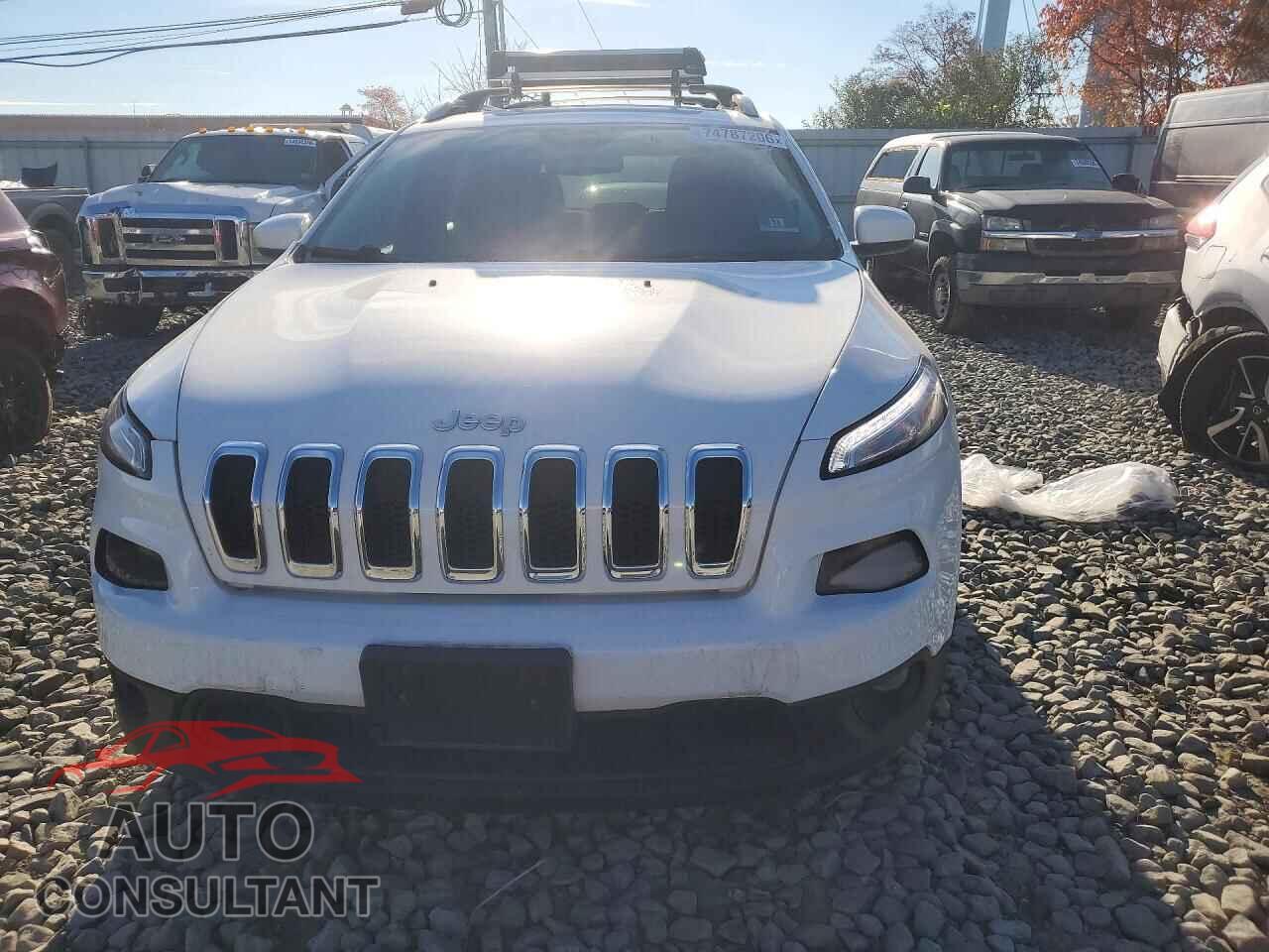JEEP CHEROKEE 2014 - 1C4PJMCS2EW169344