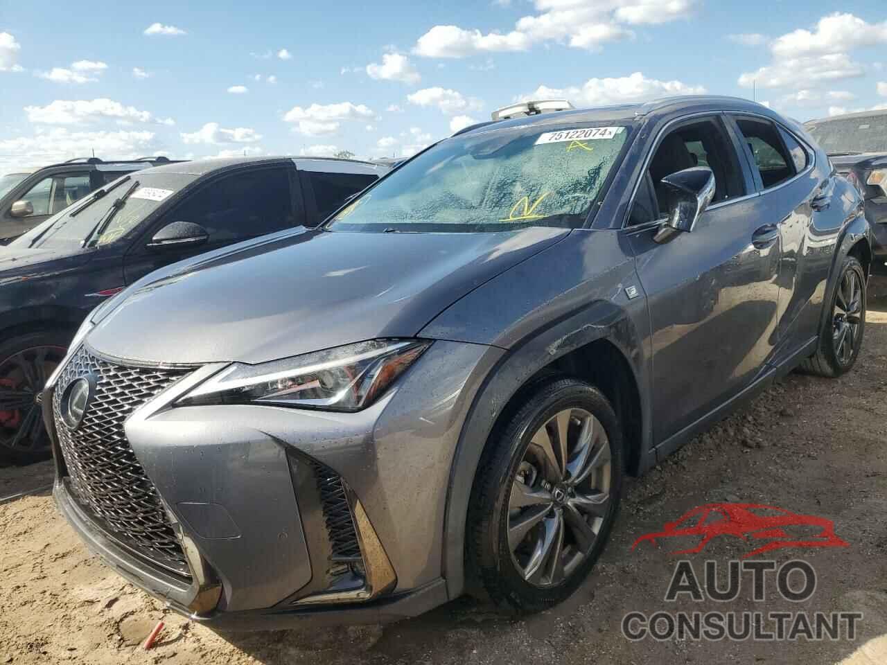 LEXUS UX 200 2019 - JTHY3JBH7K2006497