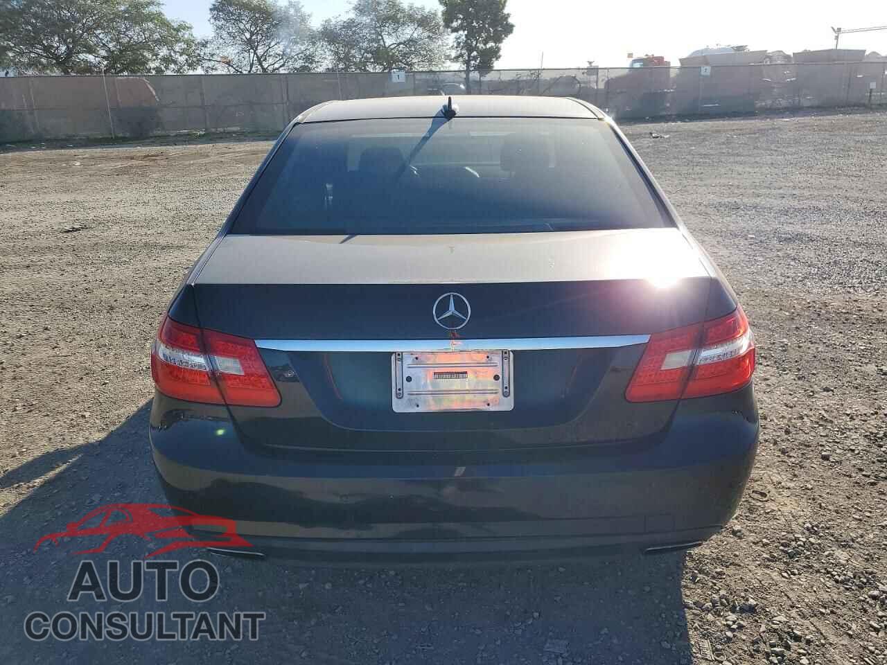 MERCEDES-BENZ E-CLASS 2010 - WDDHF5GB4AA073301