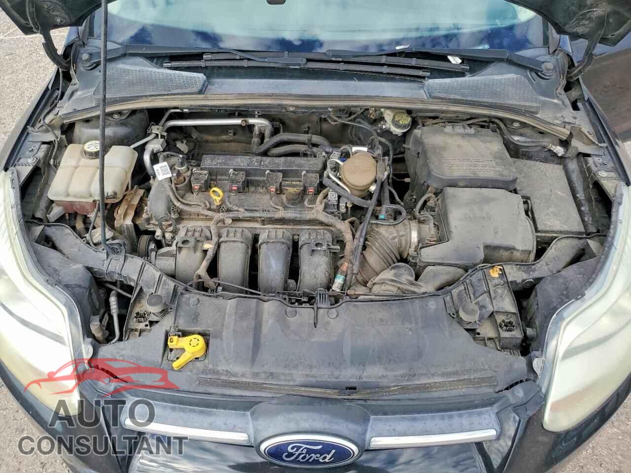 FORD FOCUS 2014 - 1FADP3F29EL169601