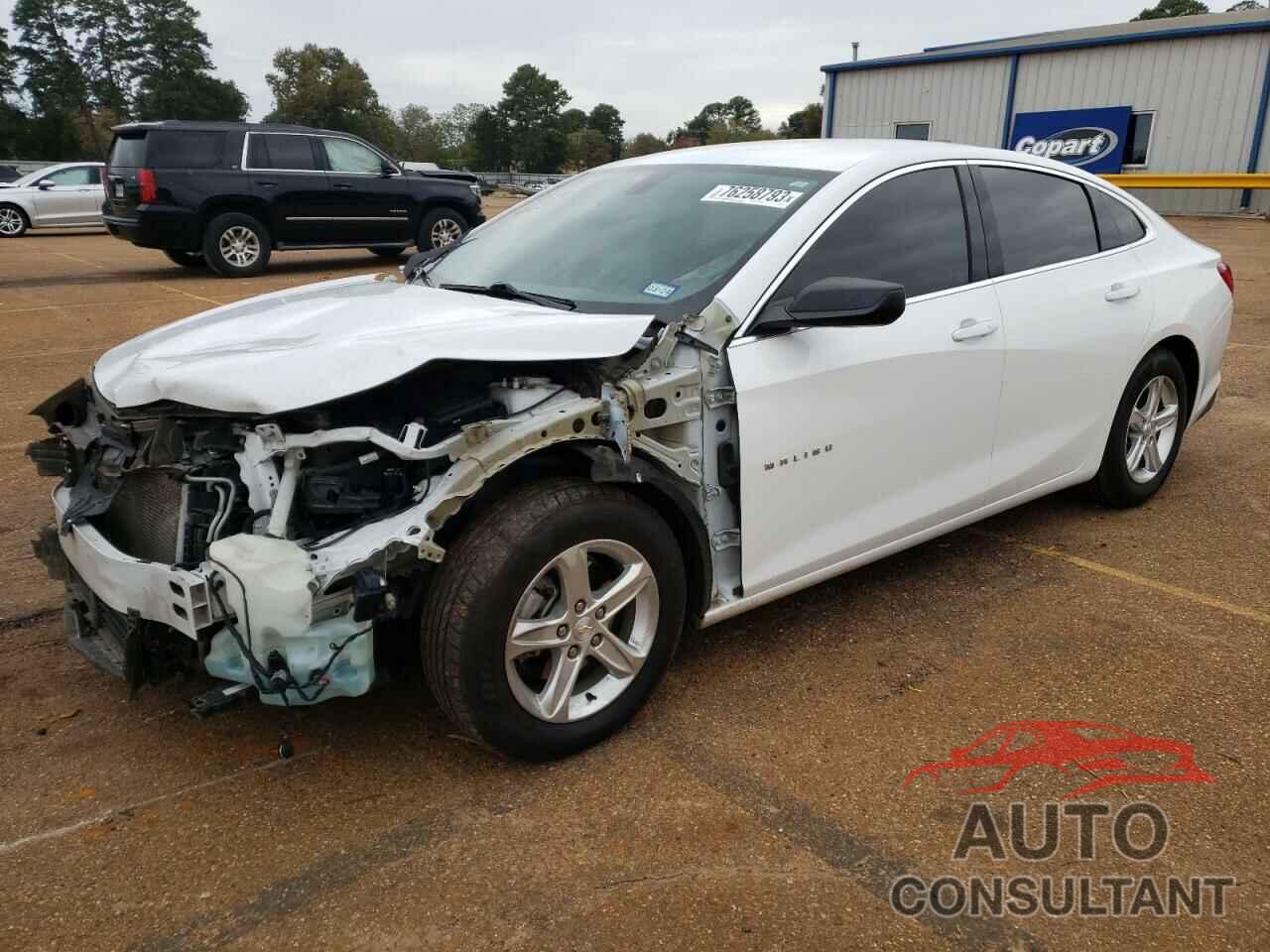 CHEVROLET MALIBU 2019 - 1G1ZC5ST0KF133496