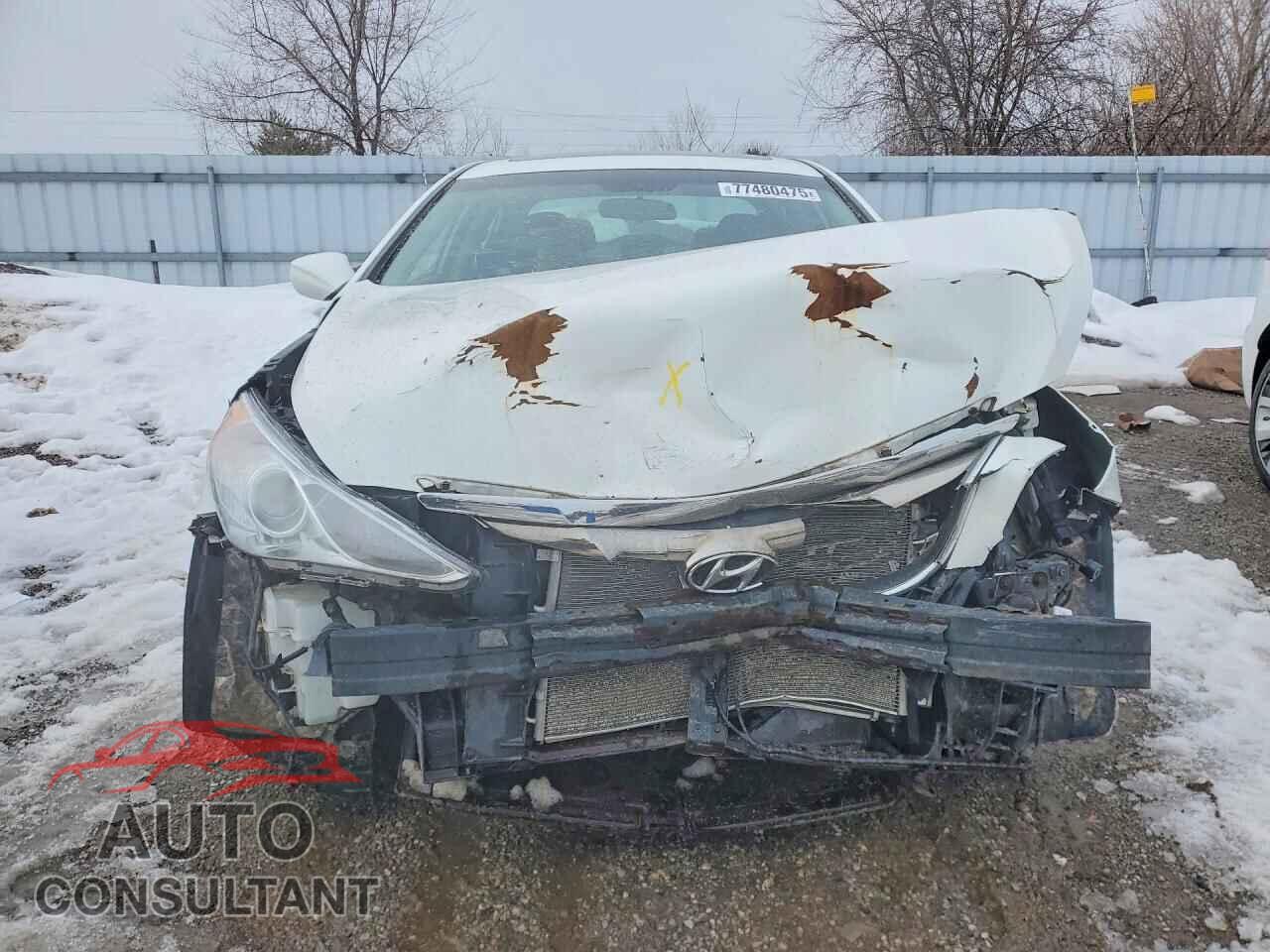 HYUNDAI SONATA 2013 - 5NPEC4AC2DH802300