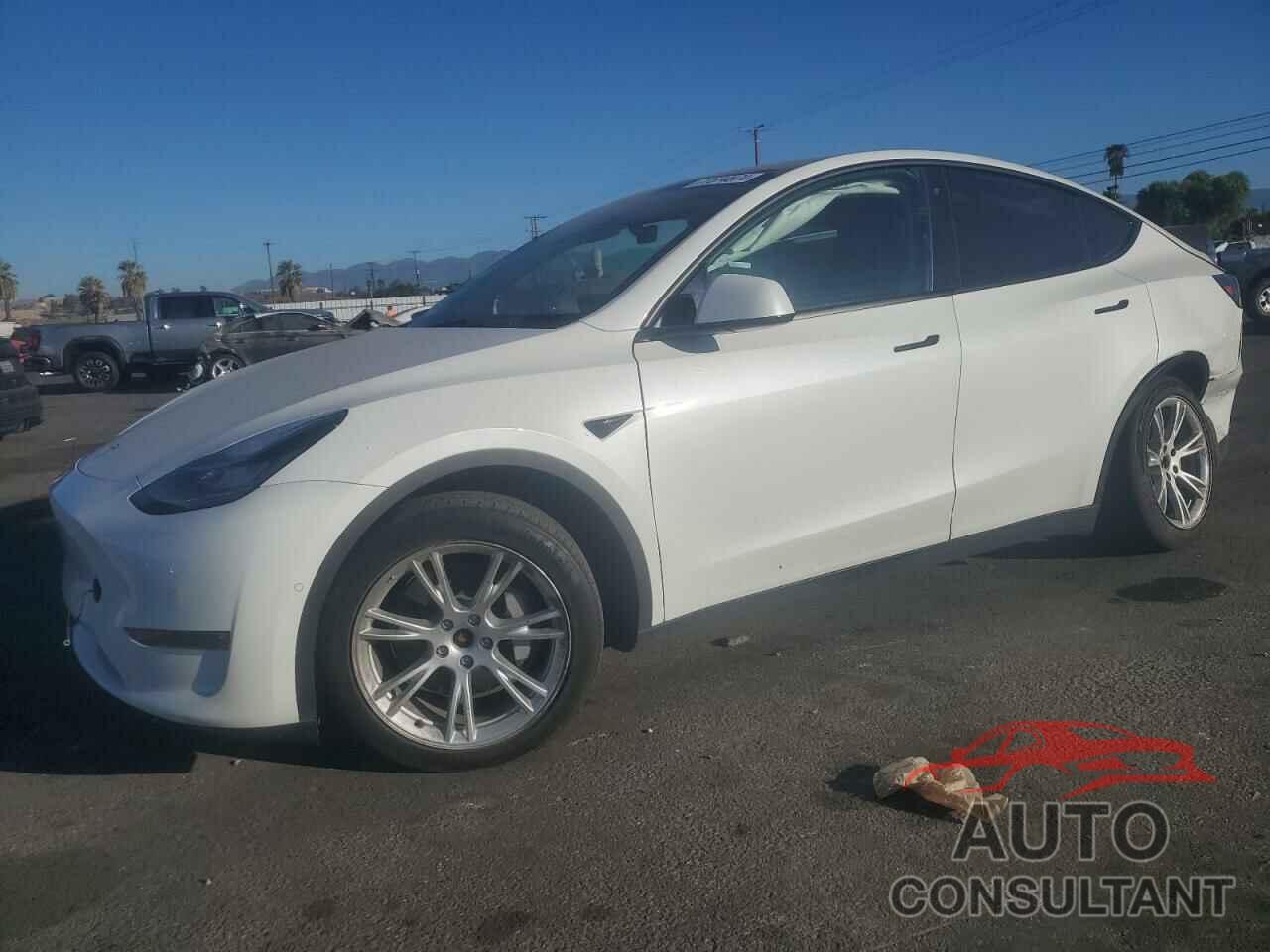 TESLA MODEL Y 2022 - 7SAYGDEE7NF319823