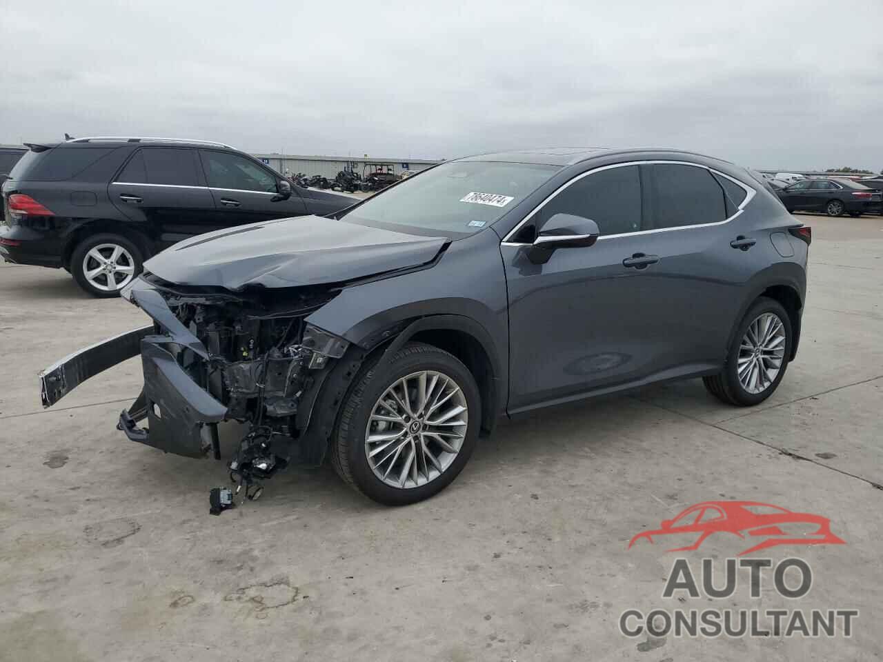 LEXUS NX 350 PRE 2025 - 2T2GGCEZ6SC065894