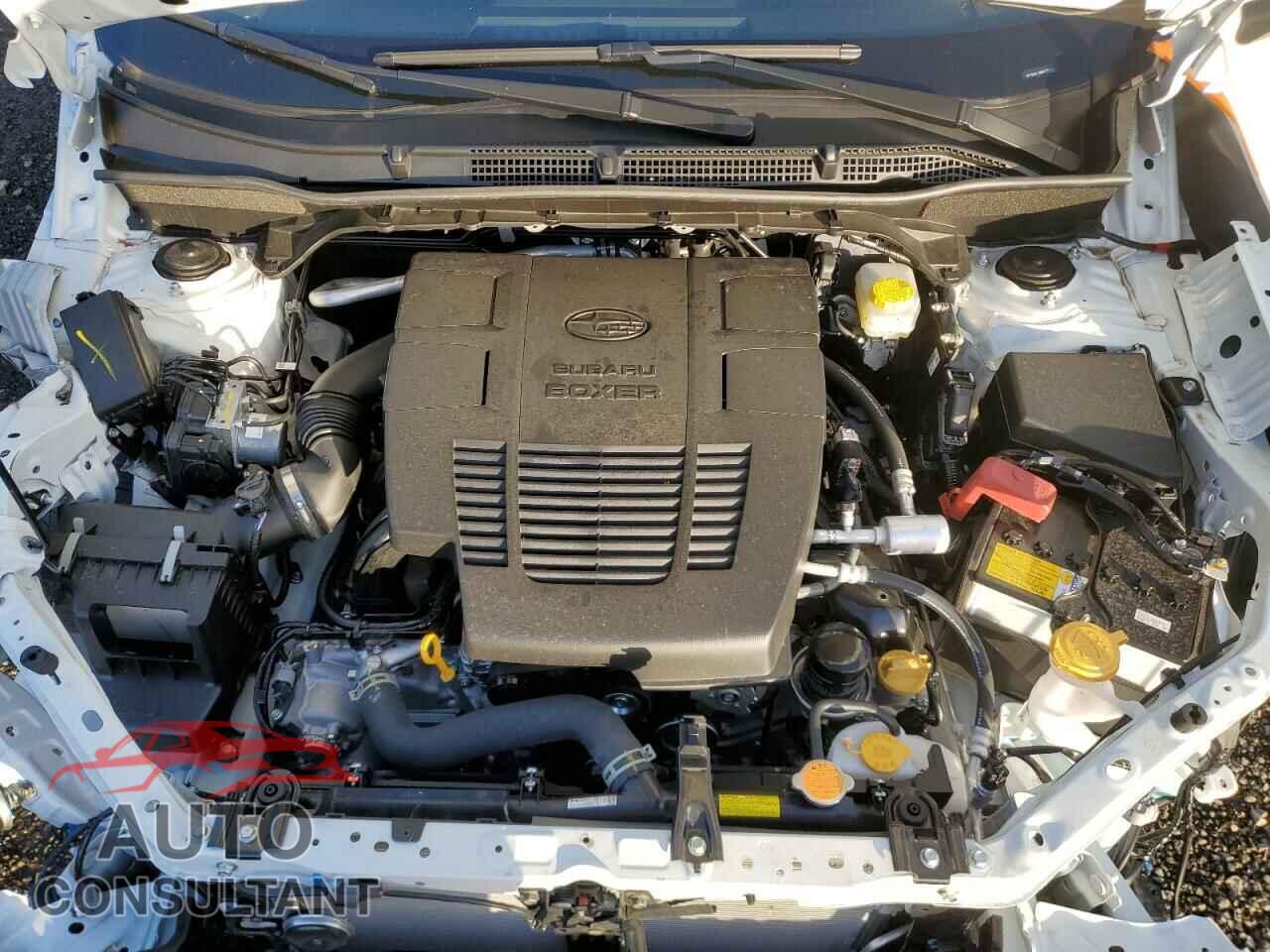 SUBARU FORESTER 2024 - JF2SKALC8RH490959