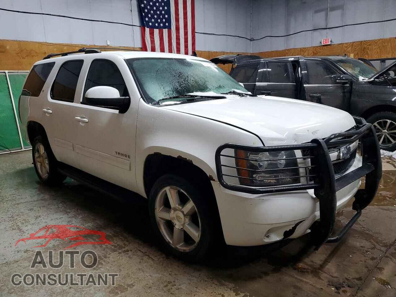 CHEVROLET TAHOE 2011 - 1GNSKBE03BR394025
