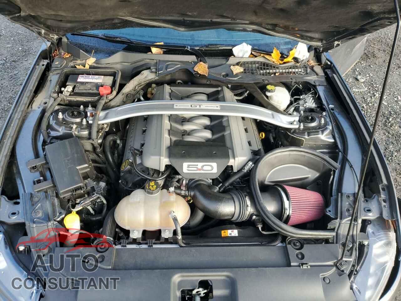 FORD MUSTANG 2017 - 1FA6P8CF3H5318896