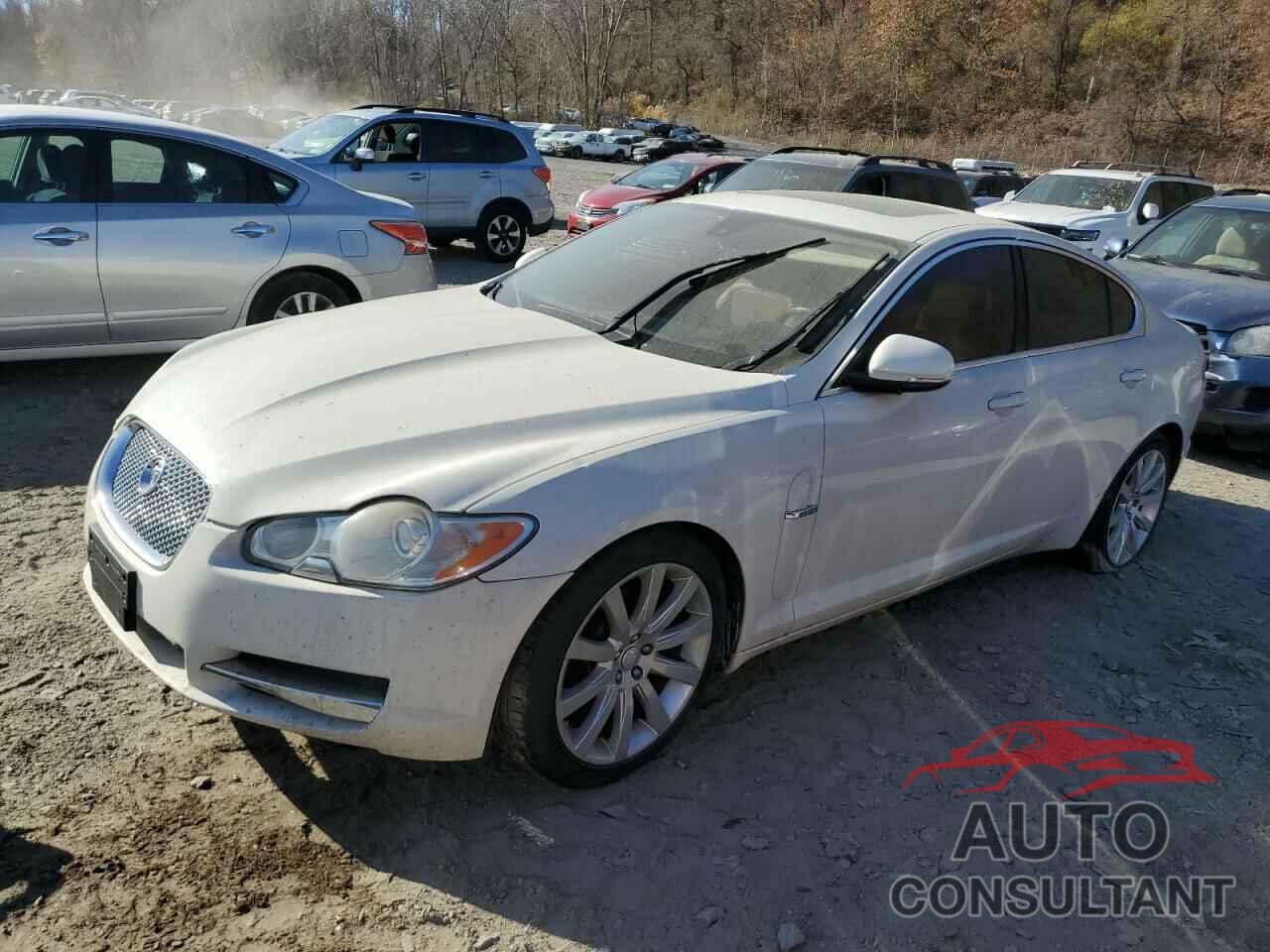 JAGUAR XF 2010 - SAJWA0FA8AHR55608