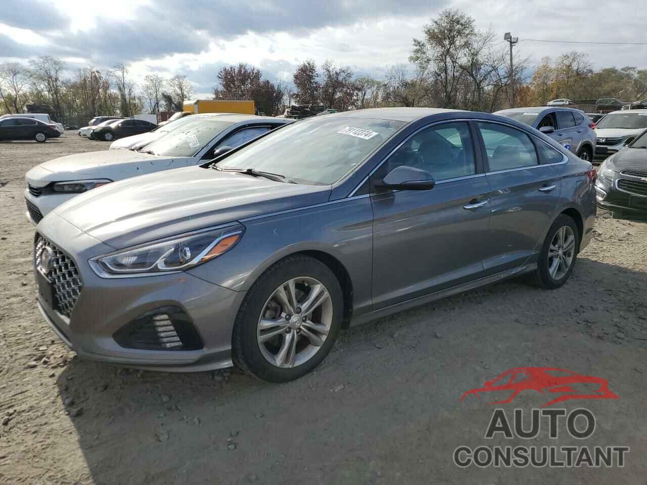 HYUNDAI SONATA 2019 - 5NPE34AF9KH791223