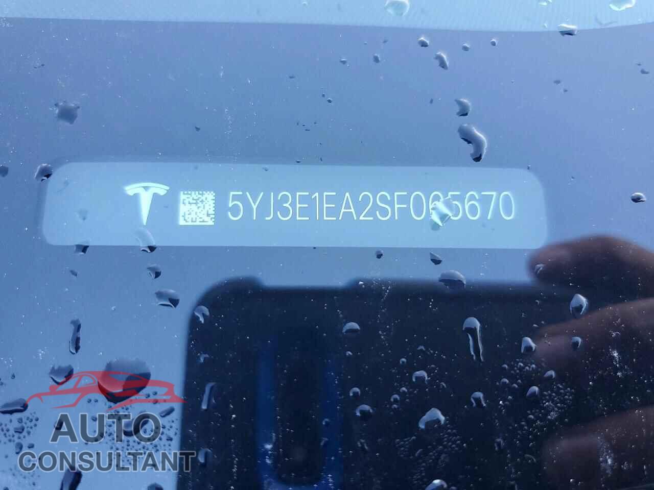 TESLA MODEL 3 2025 - 5YJ3E1EA2SF065670