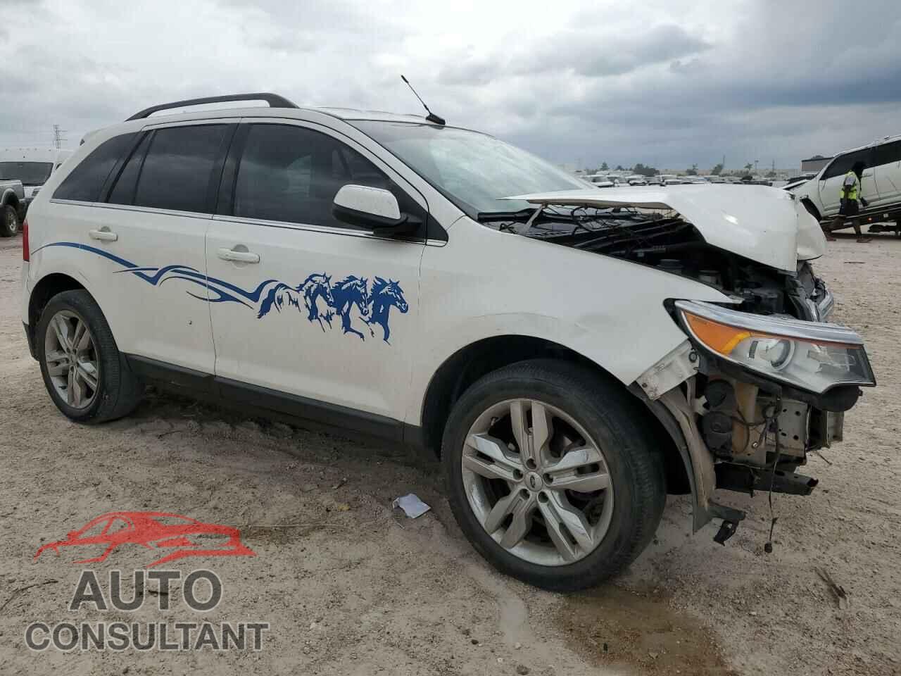 FORD EDGE 2014 - 2FMDK3KCXEBB64149